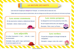 La nature des mots - Affiche : Primaire 1, 2 - PDF à imprimer