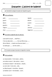 Accord de l’adjectif - Examen Evaluation : Primaire 2 - PDF à imprimer