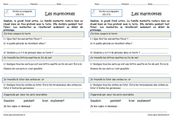 Les marmottes - Dictée accompagnée n°11 : Primaire 2 - PDF à imprimer