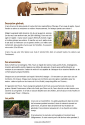 L'ours brun - Textes informatifs / Documentaires : Primaire 3 - PDF à imprimer