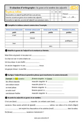 Le genre et le nombre de l’adjectif - Évaluation, bilan : Primaire 4 - PDF à imprimer