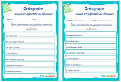 Noms et adjectifs au féminin - Rituels - Orthographe : Primaire 4, 5 - PDF à imprimer