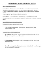 Reproduction végétale asexuée - Cours, Leçon - Sciences : Primaire 3, 4 - PDF à imprimer