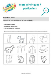Mots génériques / particuliers - Séance découverte à manipuler : Primaire 2 - PDF à imprimer