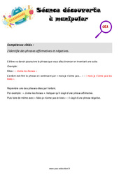 Phrases affirmatives et négatives - Séance découverte à manipuler : Primaire 2 - PDF à imprimer