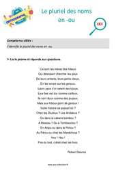 Le pluriel des noms en - ou - Séance découverte à manipuler : Primaire 2 - PDF à imprimer