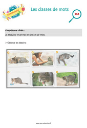 Les classes de mots - Séance découverte à manipuler : Primaire 2 - PDF à imprimer