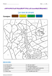 Types de phrases - Coloriage magique : Primaire 2 - PDF à imprimer