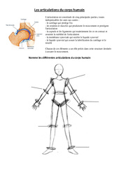 Articulations du corps humain - Exercices - Sciences : Primaire 3, 4 - PDF à imprimer