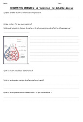 Respiration - Echanges gazeux - Examen Evaluation : Primaire 4, 5 - PDF à imprimer