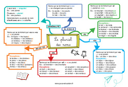 Le pluriel des noms - Carte mentale : Primaire 5, 6 - PDF à imprimer