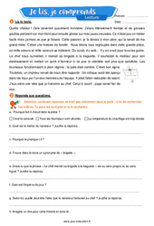 Fourneaux - Lecture- Fiches Je lis, je comprends : Primaire 4 - PDF à imprimer