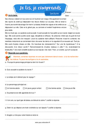 Pirate - Lecture- Fiches Je lis, je comprends : Primaire 4 - PDF à imprimer