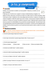 Vol improbable - Lecture- Fiches Je lis, je comprends : Primaire 4 - PDF à imprimer