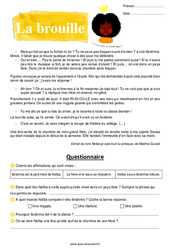 La brouille - Récit - Lecture : Primaire 3 - PDF à imprimer