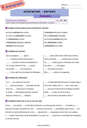 Homophones grammaticaux (ai/et/es/est - son/sont) - Examen Evaluation d'orthographe pour la  : Primaire 6 - PDF à imprimer