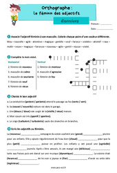 Le féminin des adjectifs - Exercices d'orthographe : Primaire 3 - PDF à imprimer