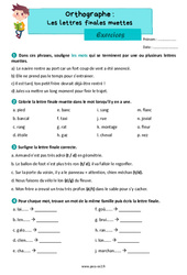 Les lettres finales muettes - Exercices d'orthographe : Primaire 3 - PDF à imprimer