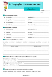 Le féminin des noms - Exercices d'orthographe : Primaire 4 - PDF à imprimer
