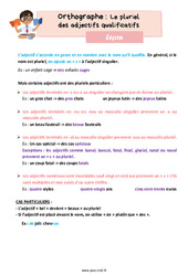 Le pluriel des adjectifs qualificatifs - Cours, Leçon d'orthographe : Primaire 5 - PDF à imprimer
