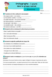 L'accord dans le groupe nominal - Exercices d'orthographe : Primaire 5 - PDF à imprimer