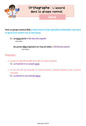 L'accord dans le groupe nominal - Cours, Leçon d'orthographe : Primaire 5 - PDF à imprimer