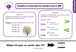 Evaluation et bilan sur encadrer intercaler les nombres de 0 à 999 : Primaire 2 - PDF à imprimer