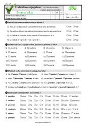 Le futur des verbes  vouloir, pouvoir, prendre - Examen Evaluation- Fiches QCM - Quiz : Primaire 3 - PDF à imprimer