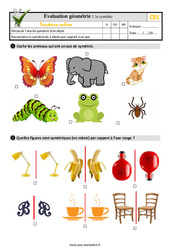La symétrie - Examen Evaluation- Fiches QCM - Quiz  : Primaire 2 - PDF à imprimer