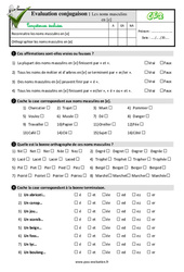 Les noms masculins en [e] - Examen Evaluation- Fiches QCM - Quiz  : Primaire 3 - PDF à imprimer