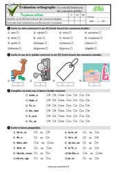 Le son [E] formé avec des consonnes doubles - Examen Evaluation- Fiches QCM - Quiz : Primaire 3 - PDF à imprimer