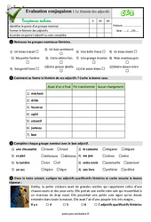 Le féminin des adjectifs - Examen Evaluation- Fiches QCM - Quiz : Primaire 3 - PDF à imprimer