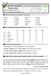 L’accord dans le groupe nominal - Examen Evaluation- Fiches QCM - Quiz  : Primaire 5 - PDF à imprimer