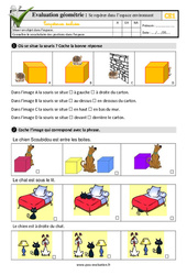 Se repérer dans l’espace environnant - Examen Evaluation- Fiches QCM - Quiz : Primaire 2 - PDF à imprimer