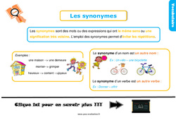 Les synonymes - Examen Evaluation et bilan : Primaire 2 - PDF à imprimer
