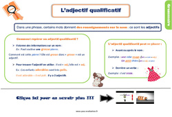 Evaluation avec le corrigé sur l’adjectif qualificatif - Bilan  : Primaire 2 - PDF à imprimer