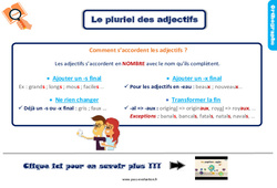 Evaluation sur le pluriel des adjectifs - Bilan  : Primaire 3 - PDF à imprimer