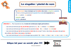 Evaluation et bilan sur le singulier, pluriel du nom : Primaire 2 - PDF à imprimer