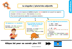 Evaluation et Bilan - Le singulier / pluriel des adjectifs : Primaire 2 - PDF à imprimer