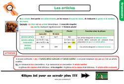Les articles - Examen Evaluation et bilan  avec le corrigé : Primaire 5 - PDF à imprimer