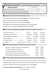 Les pronoms possessifs et démonstratifs - Examen Evaluation- Fiches QCM - Quiz  : Primaire 5 - PDF à imprimer