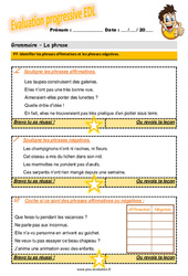 Identifier les phrases affirmatives et les phrases négatives - Examen Evaluation progressive  : Primaire 4 - PDF à imprimer