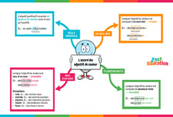 L'accord des adjectifs de couleur - Vidéo pédagogique interactive : Primaire 3, 4, 5, 6