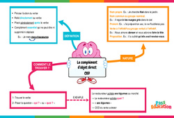 Le complément d'objet direct (COD) - Vidéo pédagogique interactive : Primaire 3, 4, 5, 6
