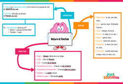 Nature et fonction - Vidéo pédagogique interactive : Primaire 3, 4, 5, 6