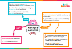 Phrase simple et phrase complexe - Vidéo pédagogique interactive : Primaire 3, 4, 5, 6