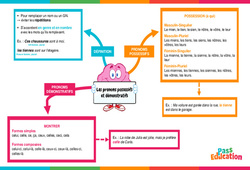 Les pronoms possessifs et démonstratifs - Vidéo pédagogique interactive : Primaire 3, 4, 5, 6