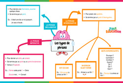 Les types de phrases - Vidéo pédagogique interactive : Primaire 3, 4, 5, 6