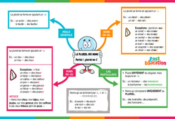Pluriel en - s (partie 1) - Le pluriel des noms - Vidéo pédagogique interactive : Primaire 3, 4, 5, 6