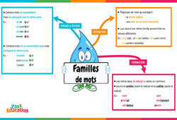 La famille des mots - Vidéo pédagogique interactive : Primaire 3, 4, 5, 6
